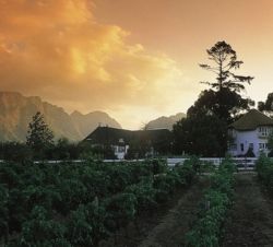 Kap Gebiet - Mont Rochelle, Franschhoek